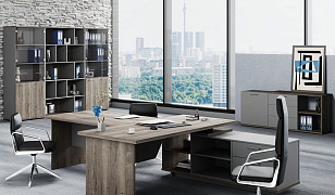 Новый кабинет руководителя "VILAS"